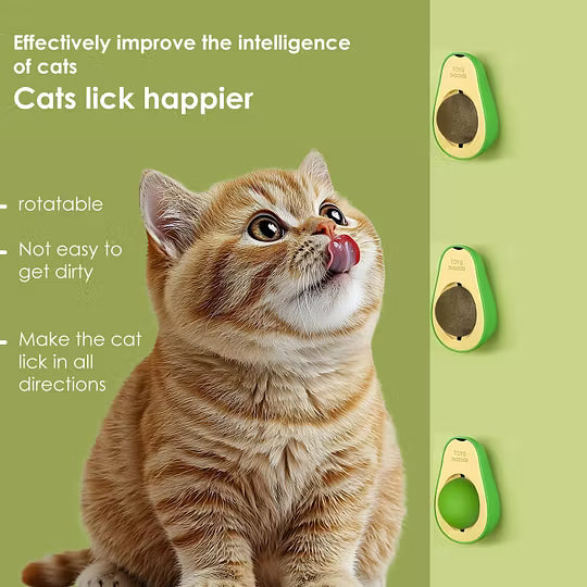 Cat grass ball spin by F&C™