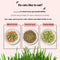 Organic Cat Grass By F&C™