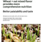 Organic Cat Grass By F&C™