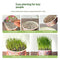 Organic Cat Grass By F&C™